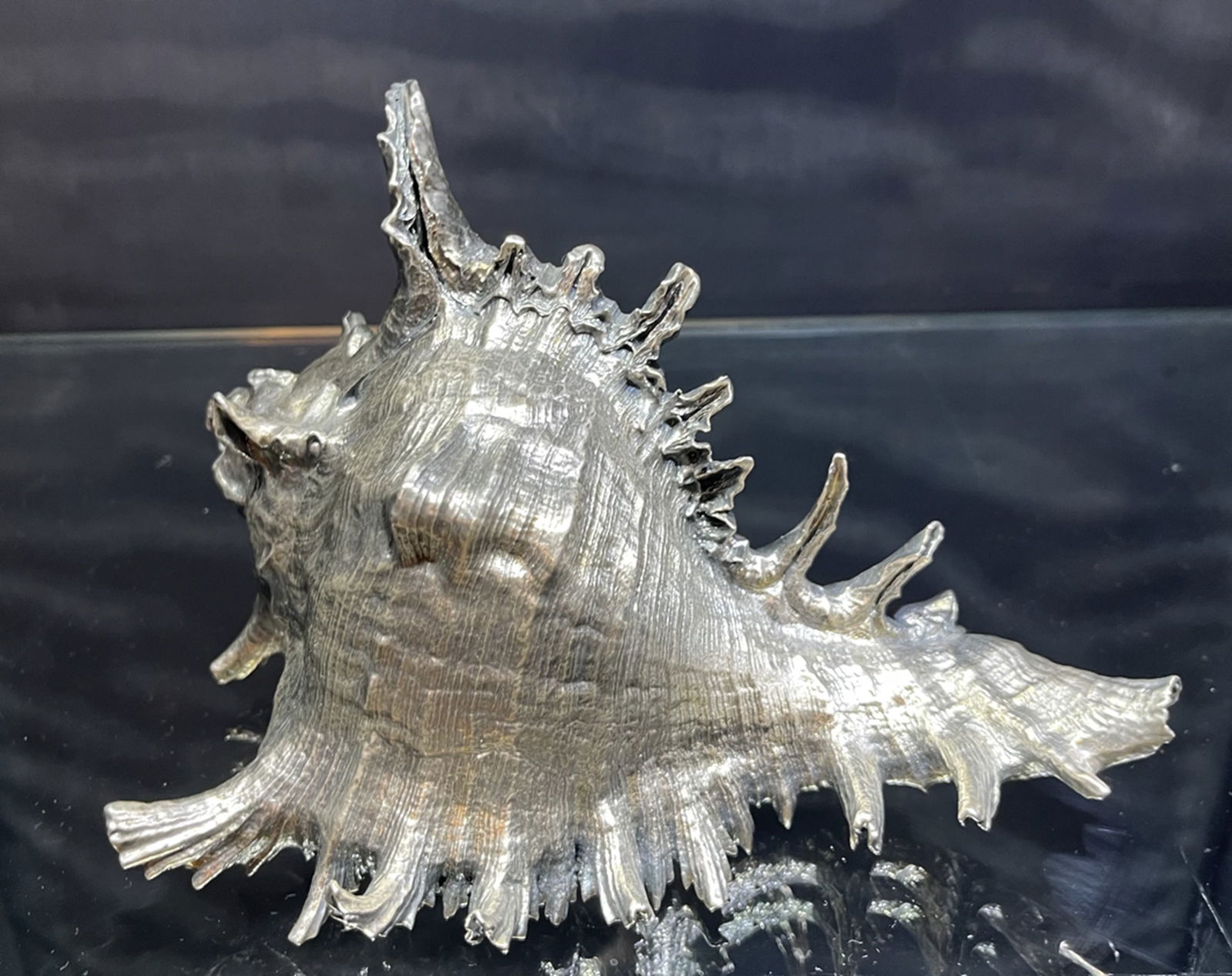 Buccellati Sterling Silver Shell Made in Italy (1 of 4)