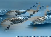 Sterling Silver Pair of Peacock Pheasant Tray Dish Bowl