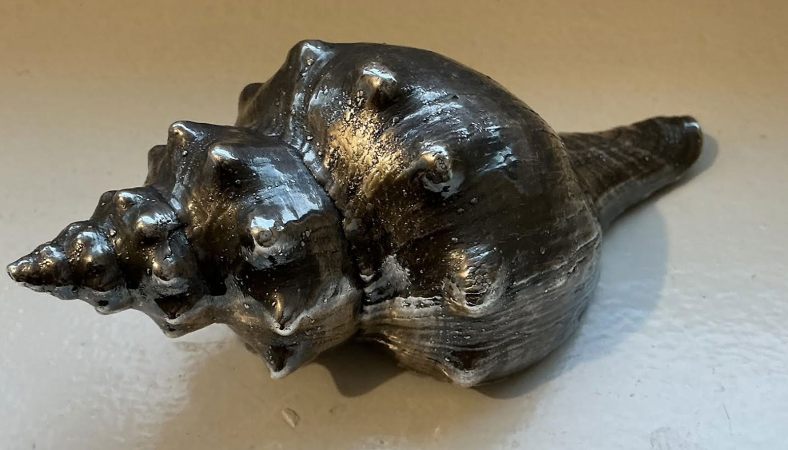 Buccellati Sterling Silver Shell Made in Italy: Buccellati Sterling Silver 999 Coated Shell Measures approx 5 inches long Made in Italy