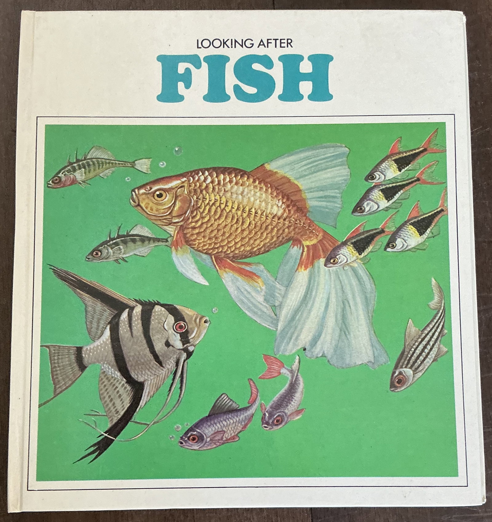 Looking After Fish Hard Cover Book By Helen Haywood 1983 (1 of 7)