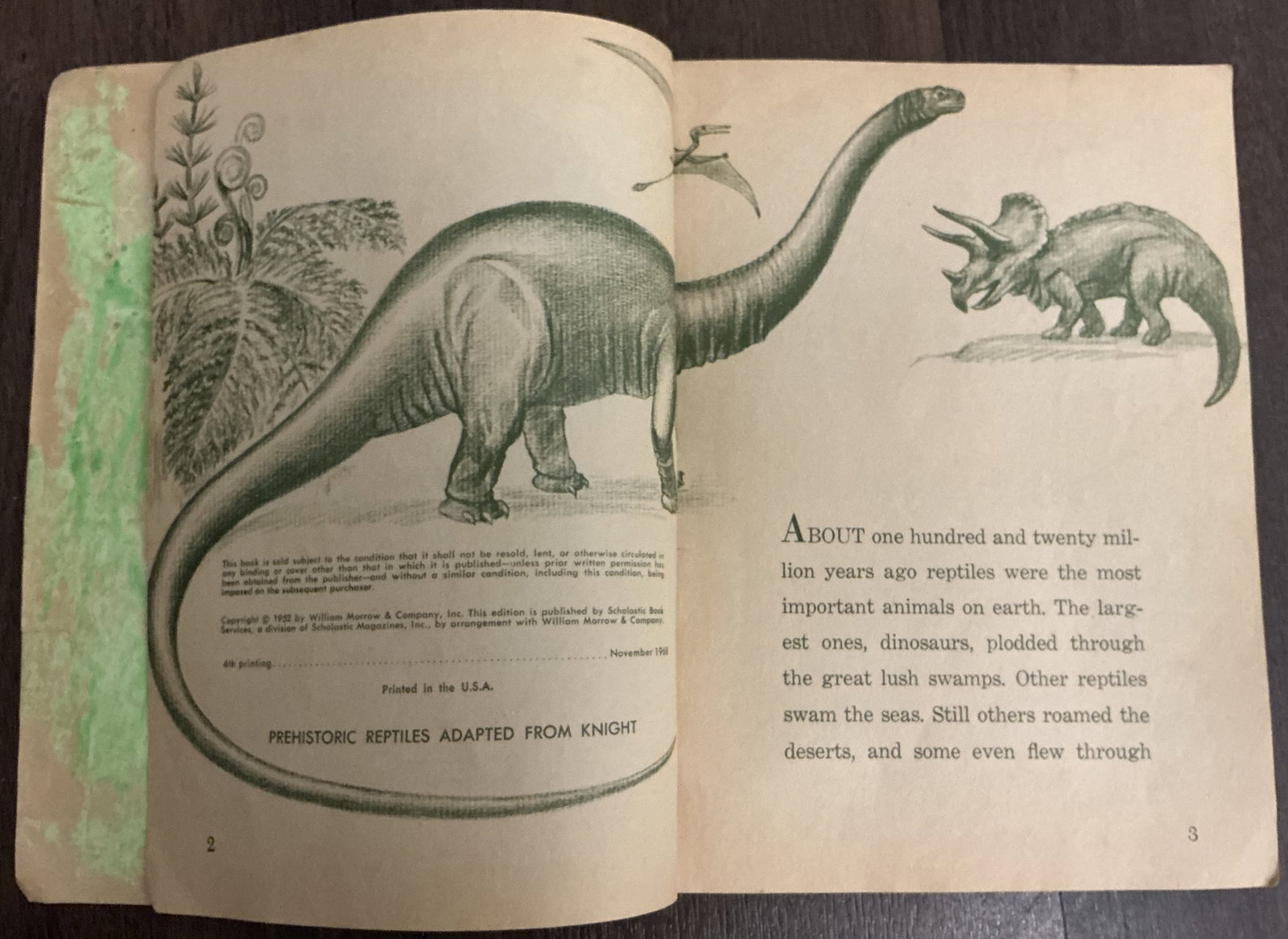Alligators and Crocodiles 1952 - 5