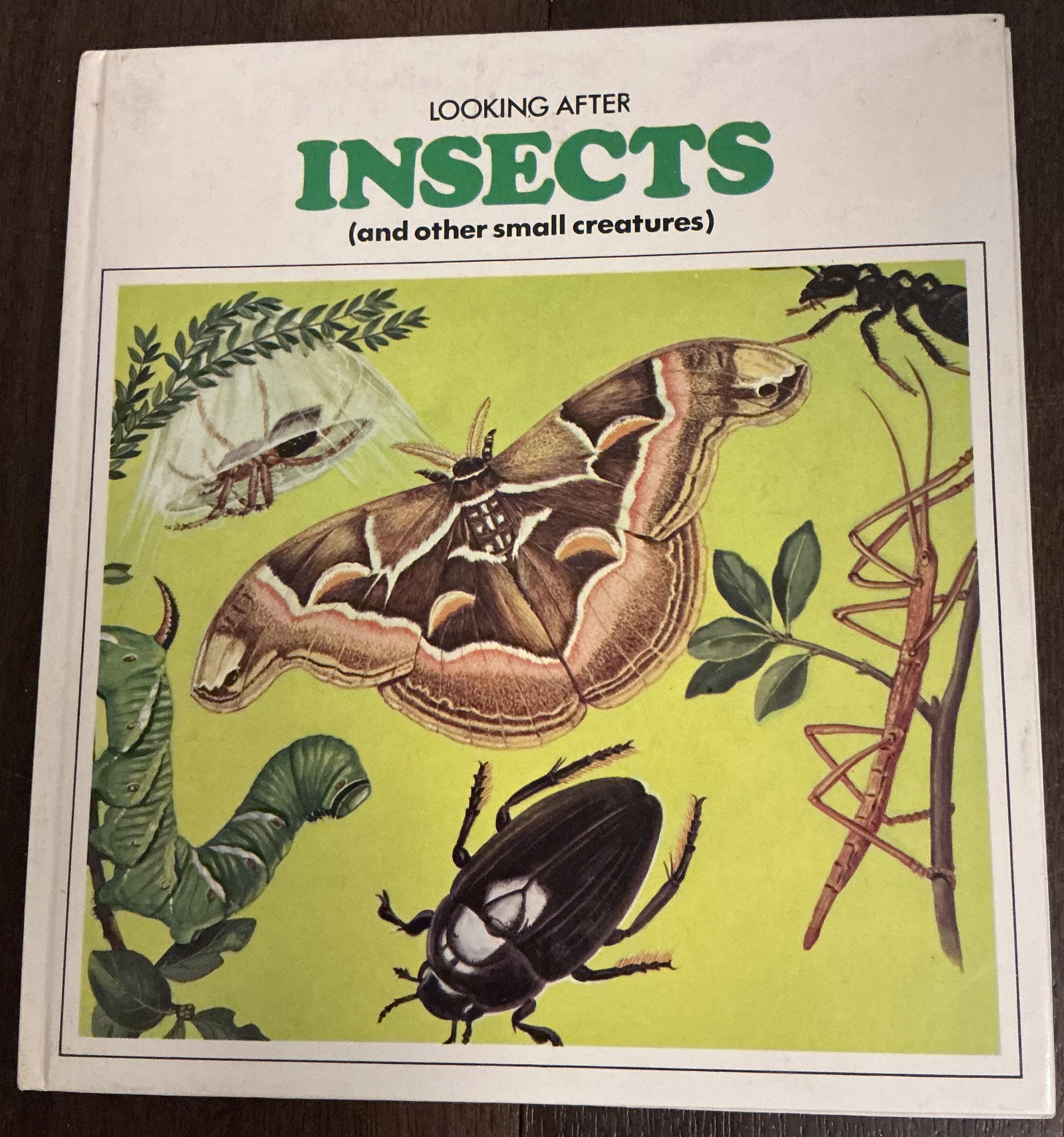 Looking After Insects and Other Small Creatures Hard Cover Book 1983 (1 of 6)