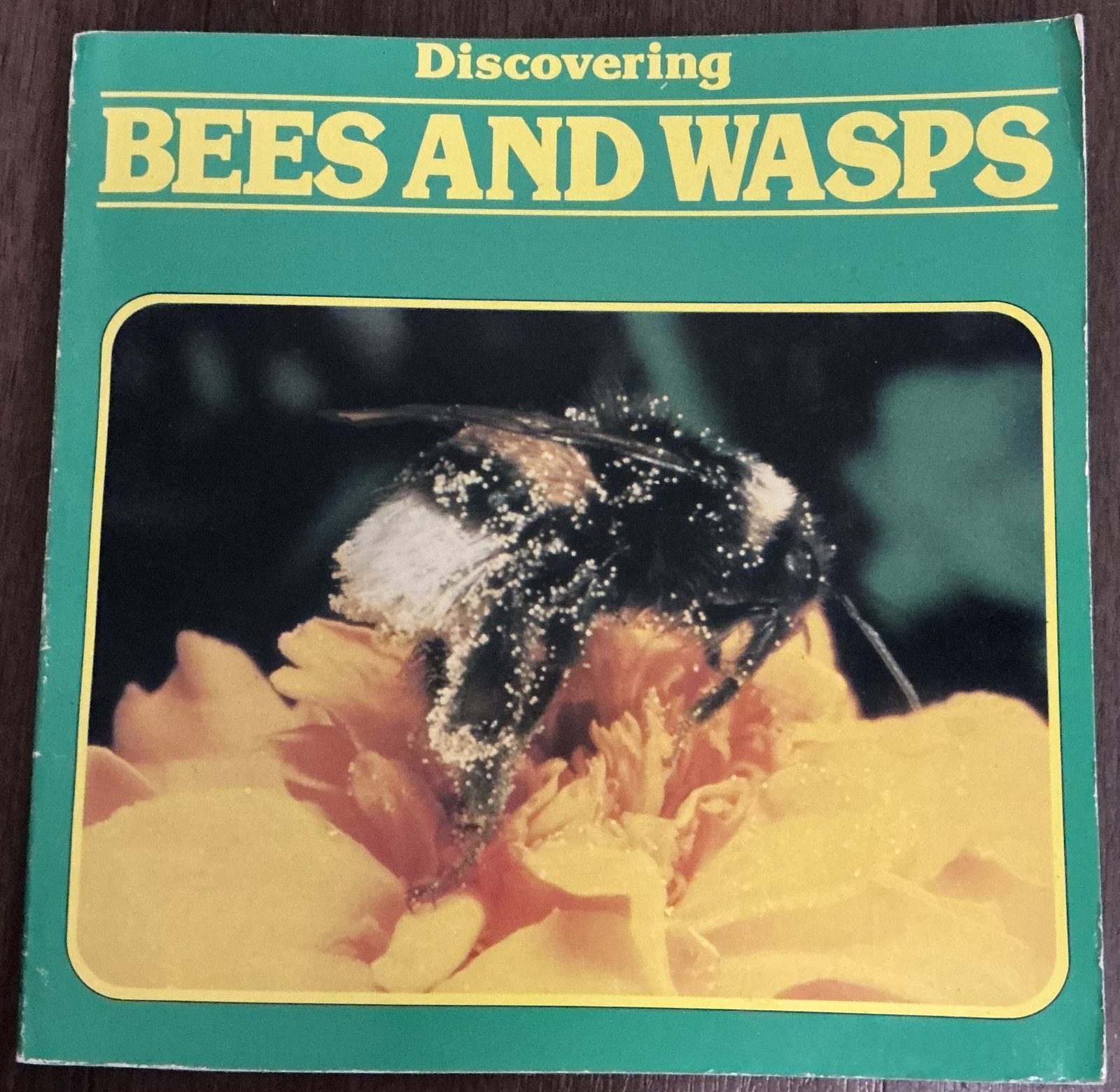 Discovering Bees and Wasps (1 of 6)