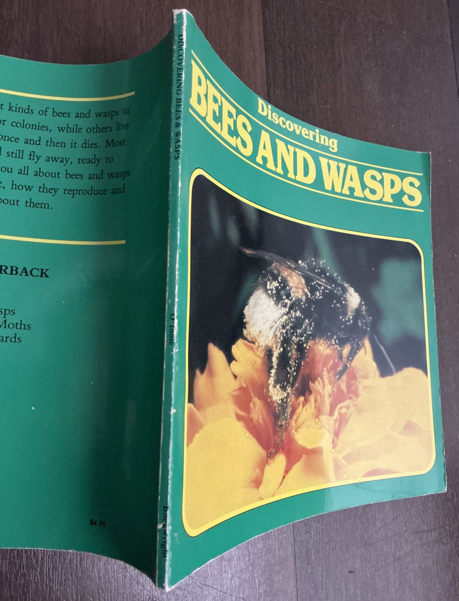 Discovering Bees and Wasps - 6