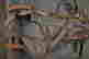 item-128779044=3