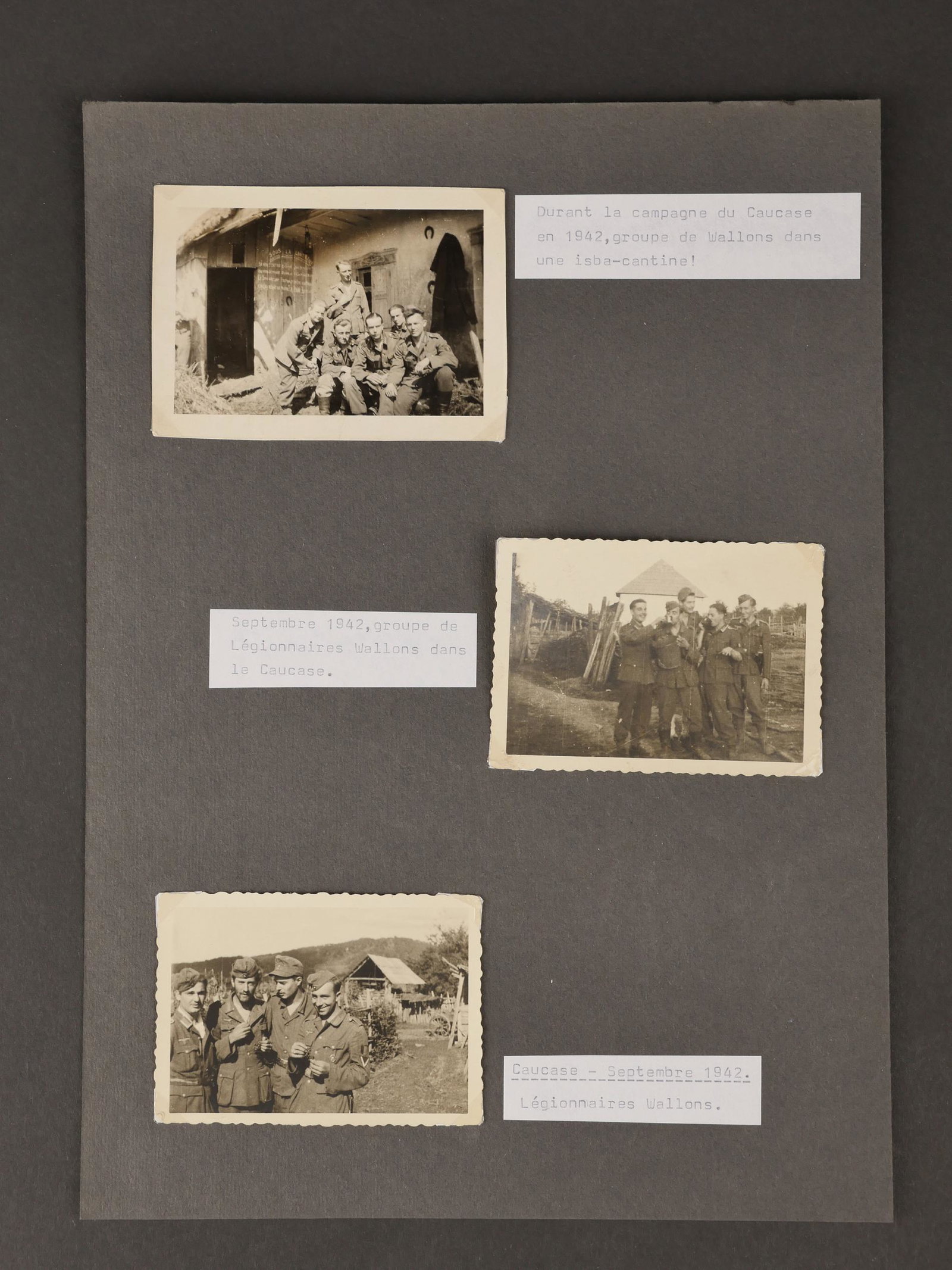 Photos originales de soldats de la Legion Wallonie. Original photos of soldiers of the Walloon: Photos originales de soldats de la Legion Wallonie. Comprenant 3 cliches de format 7x9 cm representant un groupe de Wallons durant la campagne du Caucase en septembre 1942. Rares photos inedites. Orig