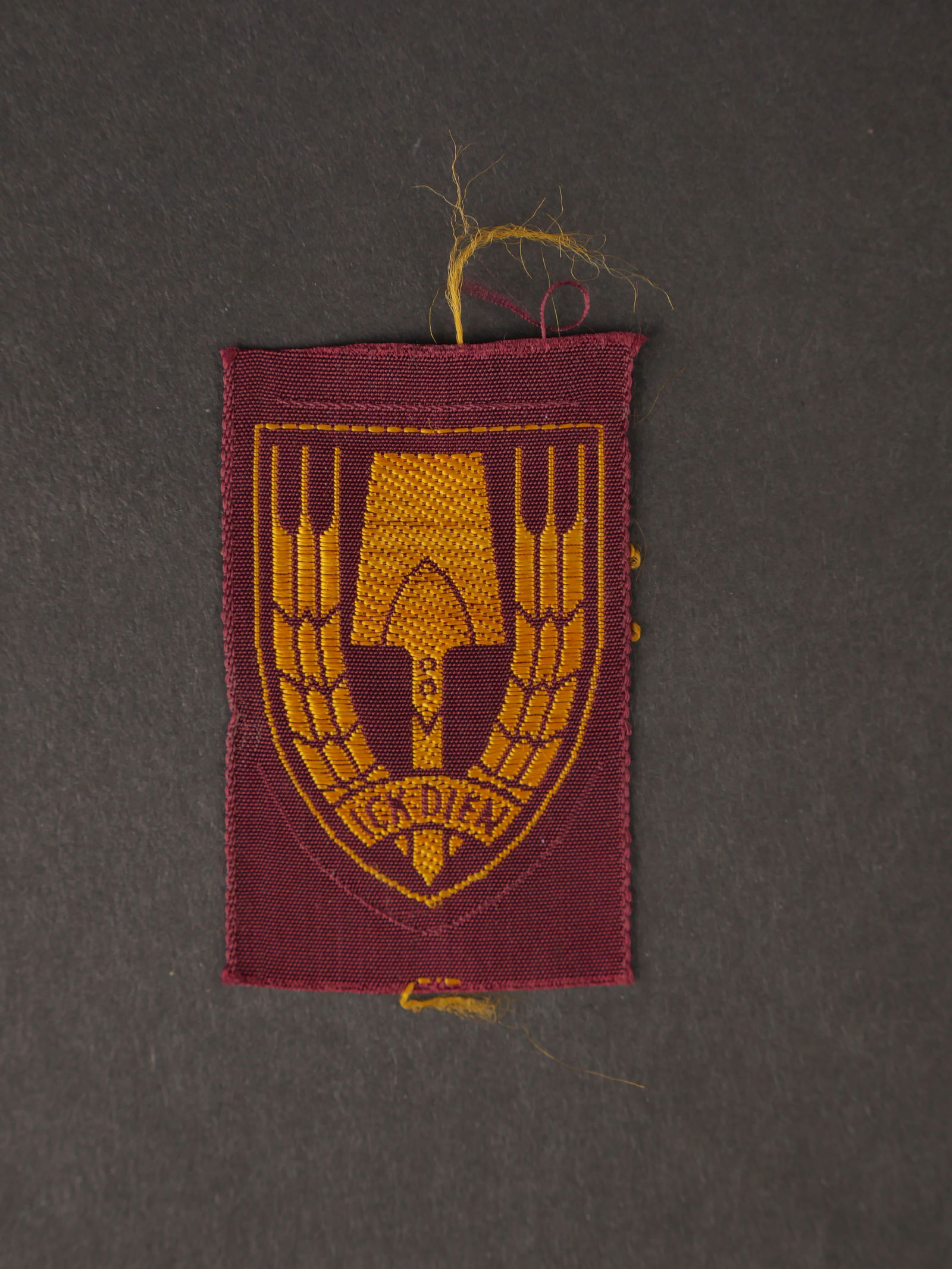 Insigne RAD hollandais. Dutch RAD badge.: Insigne de volontaire hollandais dans le RAD. En tissu BEVO, fond bordeaux, jamais monte. A noter une legere usure et patine de la piece. Etat I-. Dutch volunteer badge in the RAD. In BEVO fabric, bur