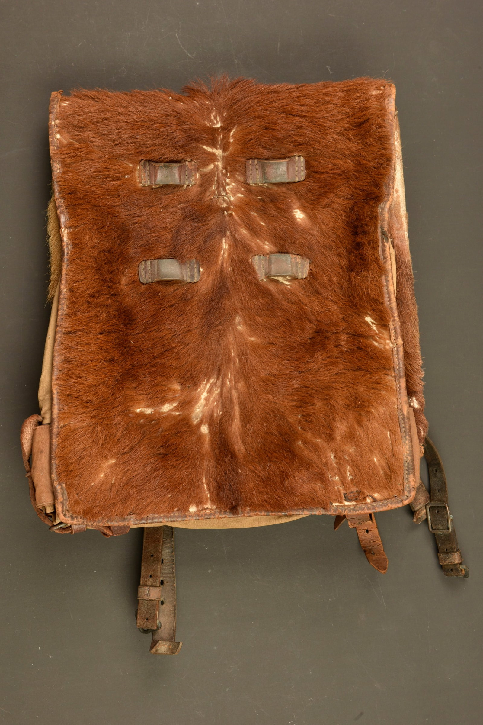 Tornister poil de vache du 100R saxon. Cowhide Tornister backpack of the Saxon 100th Infantry (1 of 5)
