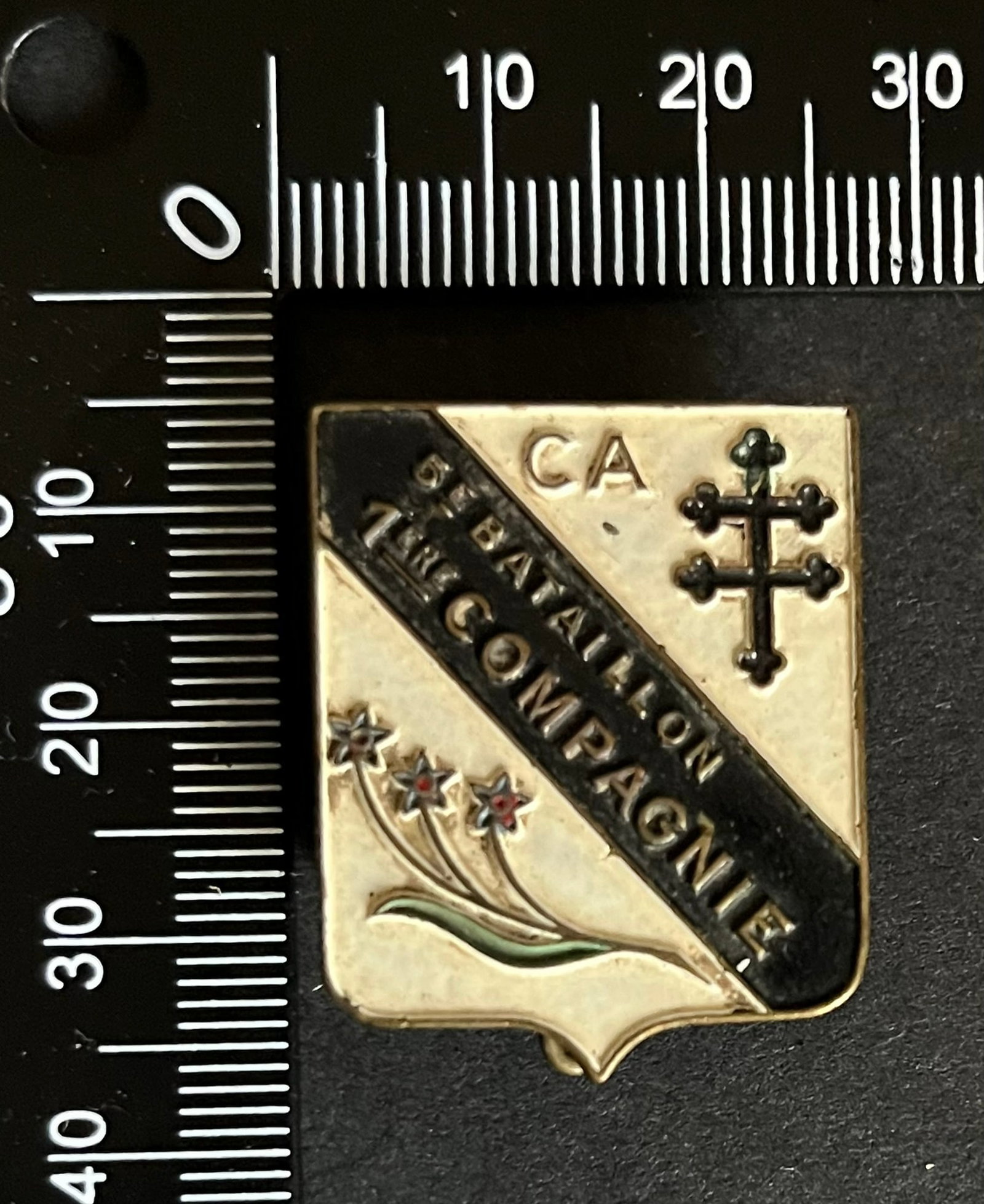 FRANCE Dpt44 INSIGNES FFI. France FFI insignia Department 44: Insigne Compagnie Myosotis 5 BM FFI Loire Inferieure 1ere Compagnie 5eme Bataillon (tirage 200) Sans metal peint Ref Dictionnaire d identication des Insignes de la Resistance Francaise (ed 2026 - Rola