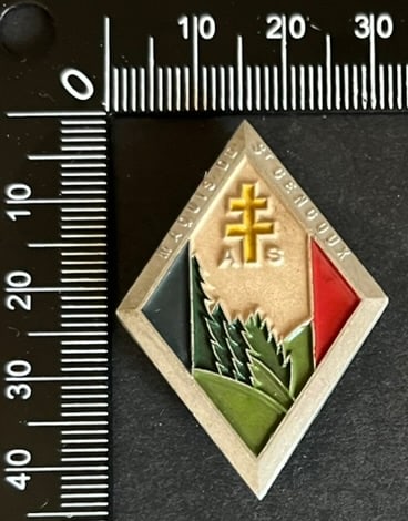 FRANCE Dpt71 INSIGNES FFI. France FFI insignia Department 71 (1 of 2)