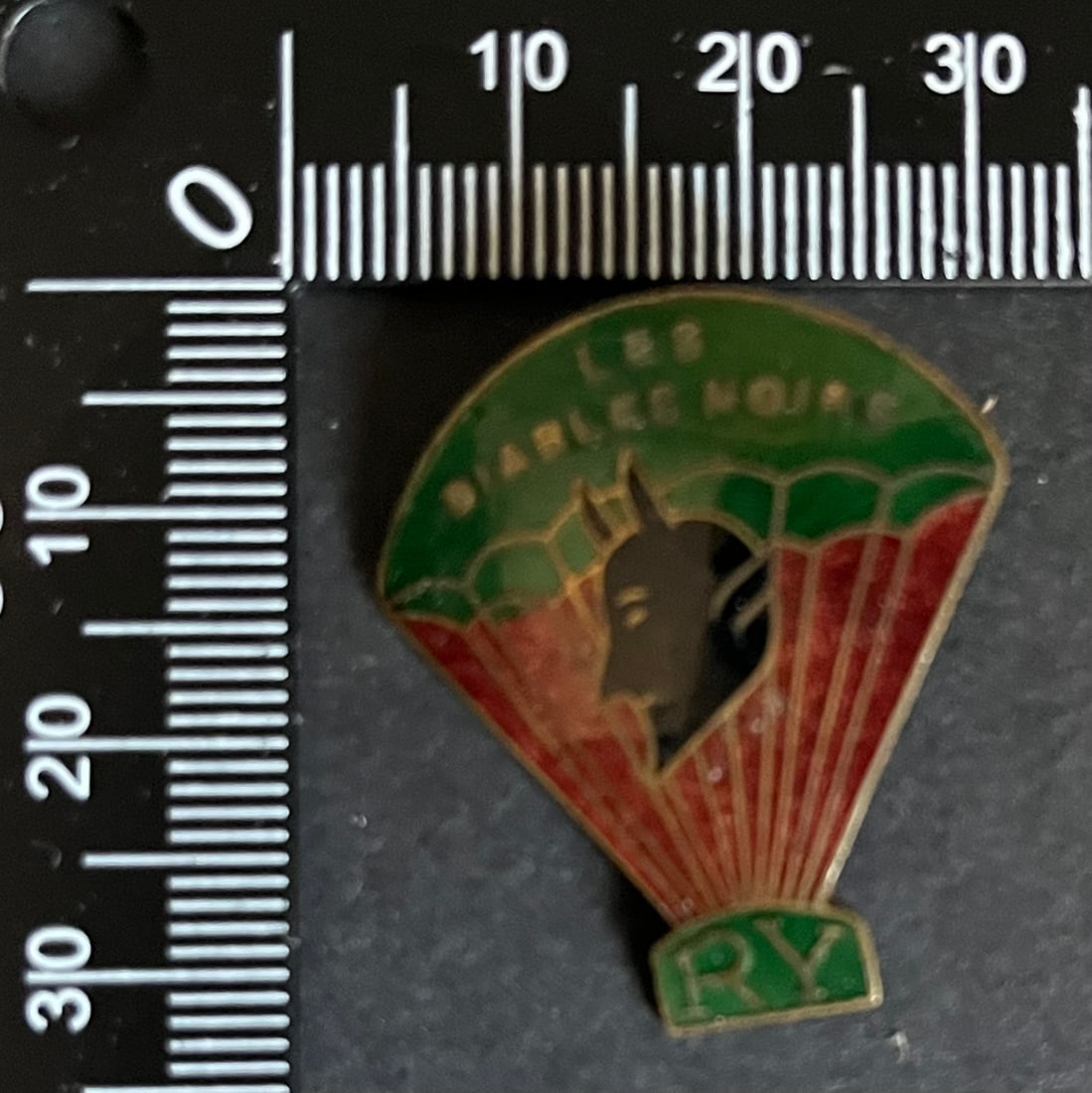 FRANCE Dpt76 INSIGNES FFI. France FFI insignia Departments 76: Insigne du Maquis de Ry des Diables Noirs - a corolle verte (tirage 100) Drago emaille (attache resoudee) Ref Dictionnaire d identication des Insignes de la Resistance Francaise (ed 2026 - Roland Gerd