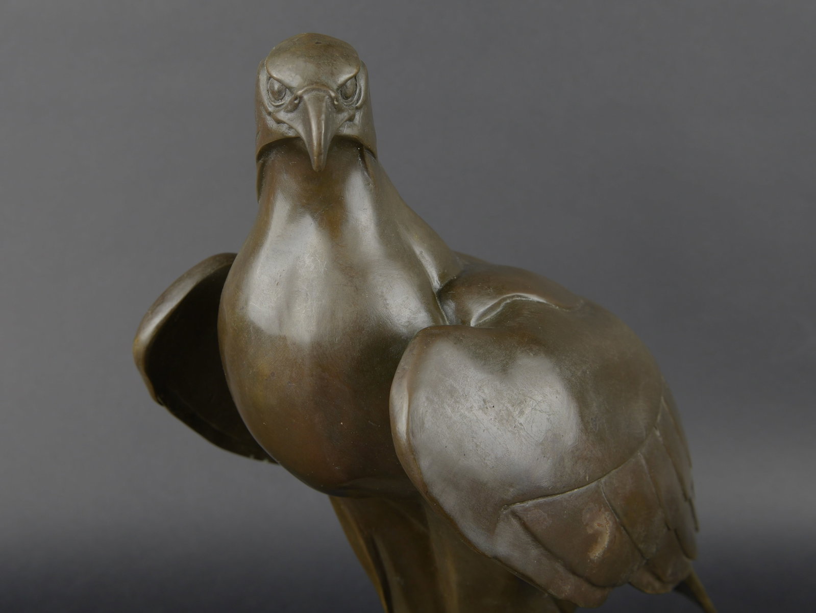 Aigle en bronze. Bronze eagle. - 5