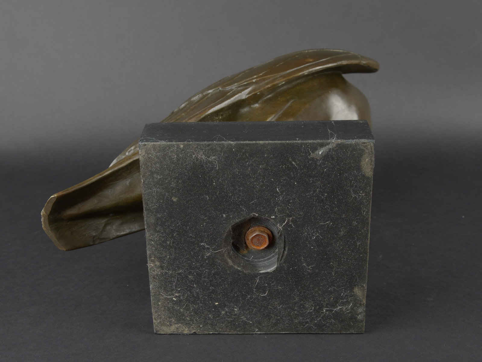 Aigle en bronze. Bronze eagle. - 7