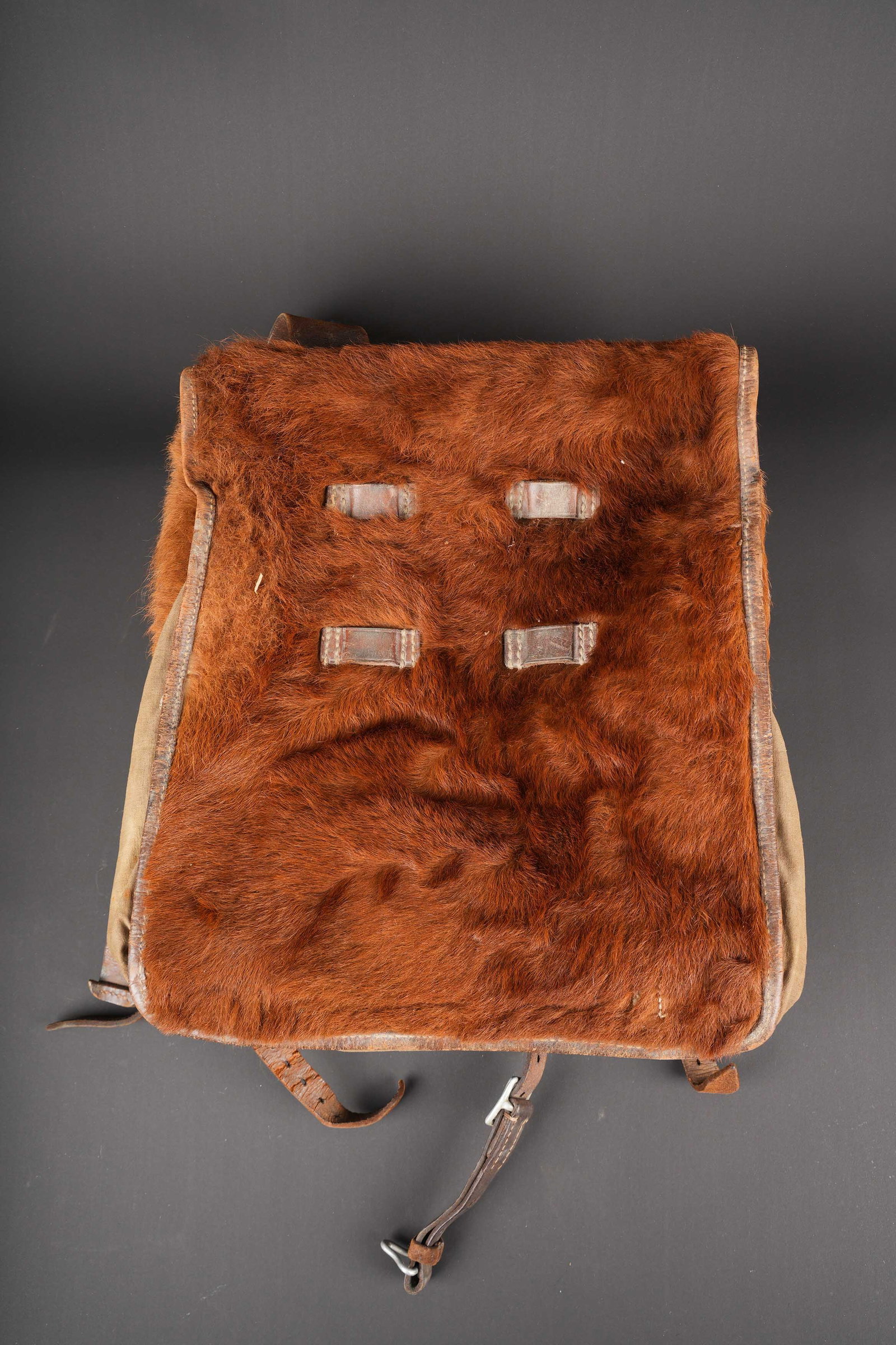 Sac a dos poil de vache. German Cowhide backpack: Sac a dos poils de vache. En forte toile Feldgrau. Rabat et cotes recouverts de poils de vache rousse. Quelques manques de poils visibles. La majorite des sangles sont presentes. Interieur disposant
