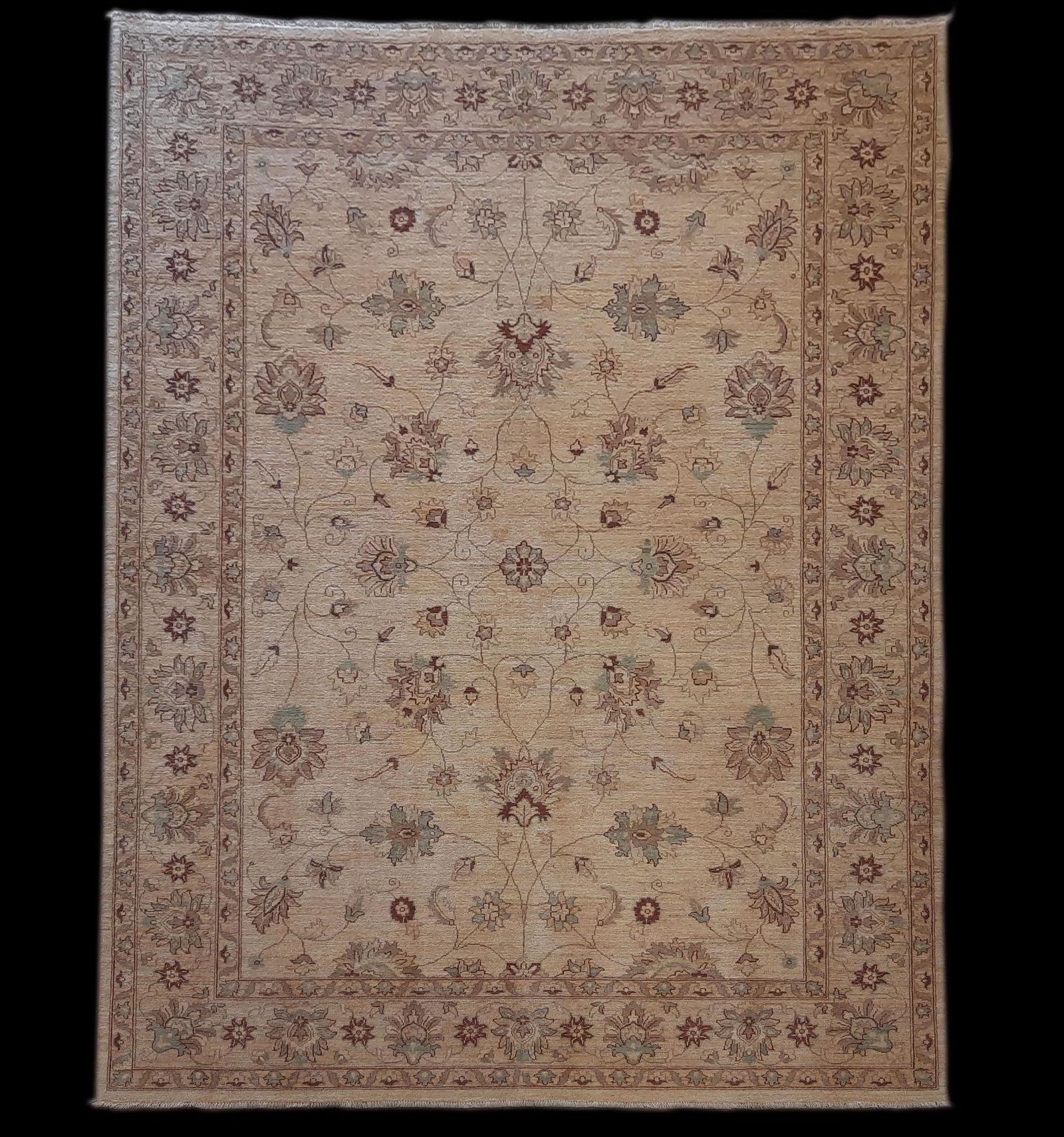New 9' 11" x 7' 10" Pakistan Chobi Area Rug (1 of 3)