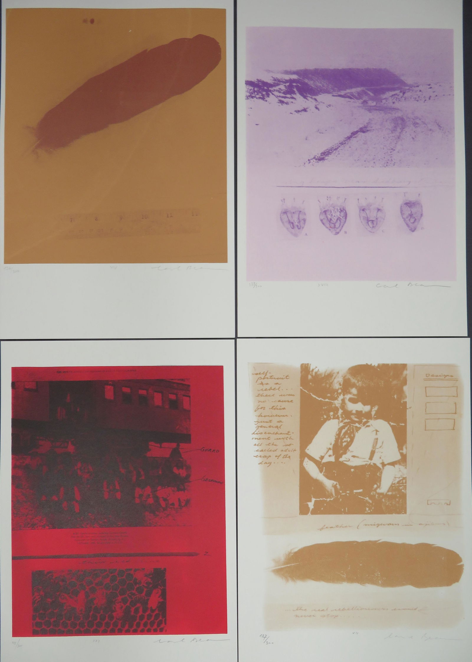 Carl Beam, (Canadian, 1943-2005) from A Distant Thunder Collection (1 of 2)