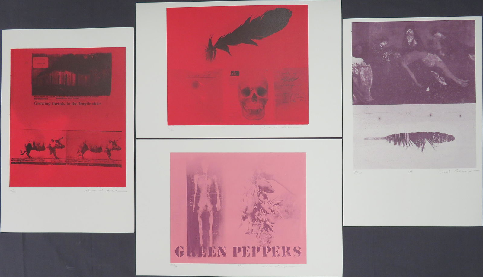 Carl Beam, (Canadian, 1943-2005) from A Distant Thunder Collection (1 of 2)