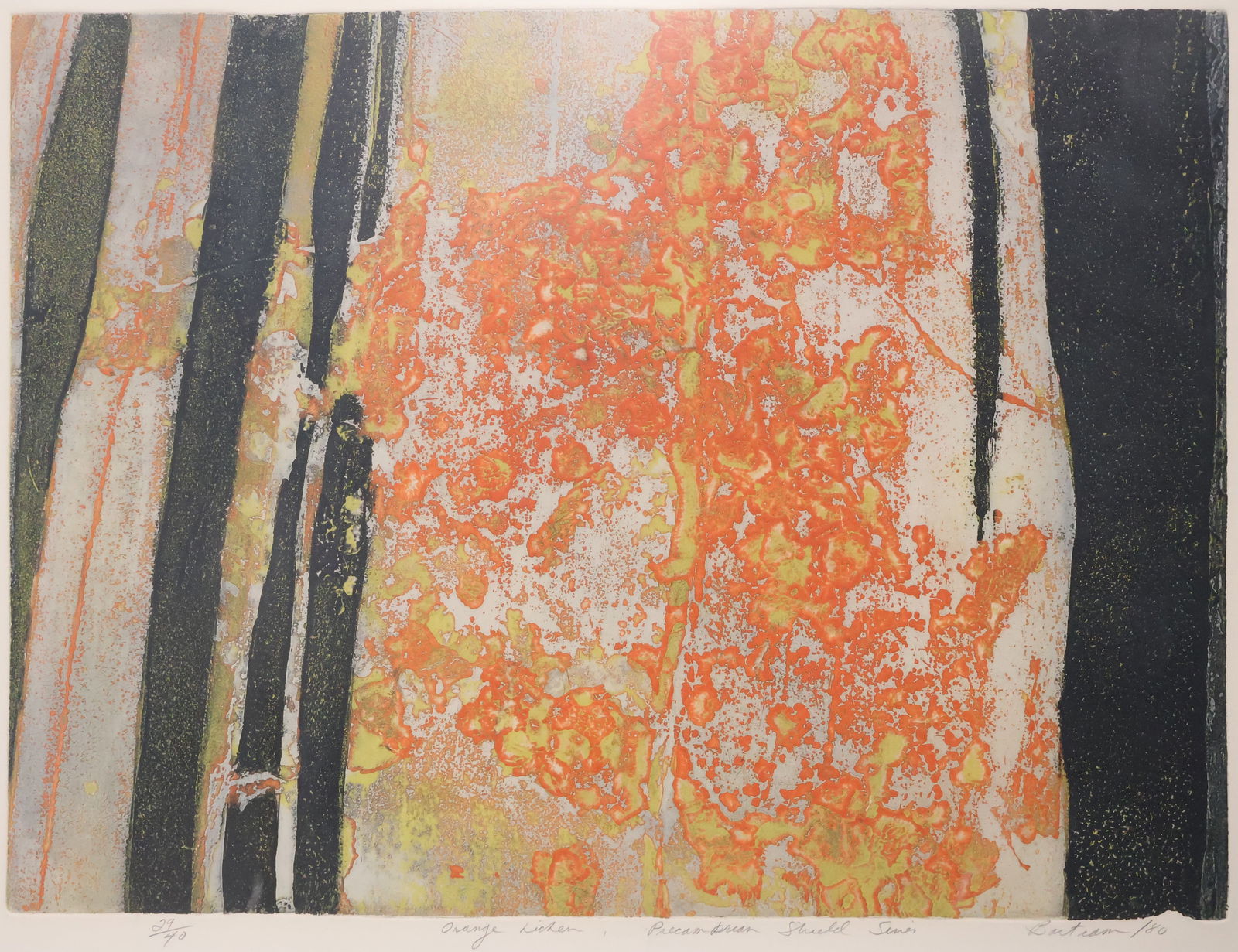 Edward John Bartram  Canadian (1938-2019) (1 of 4)