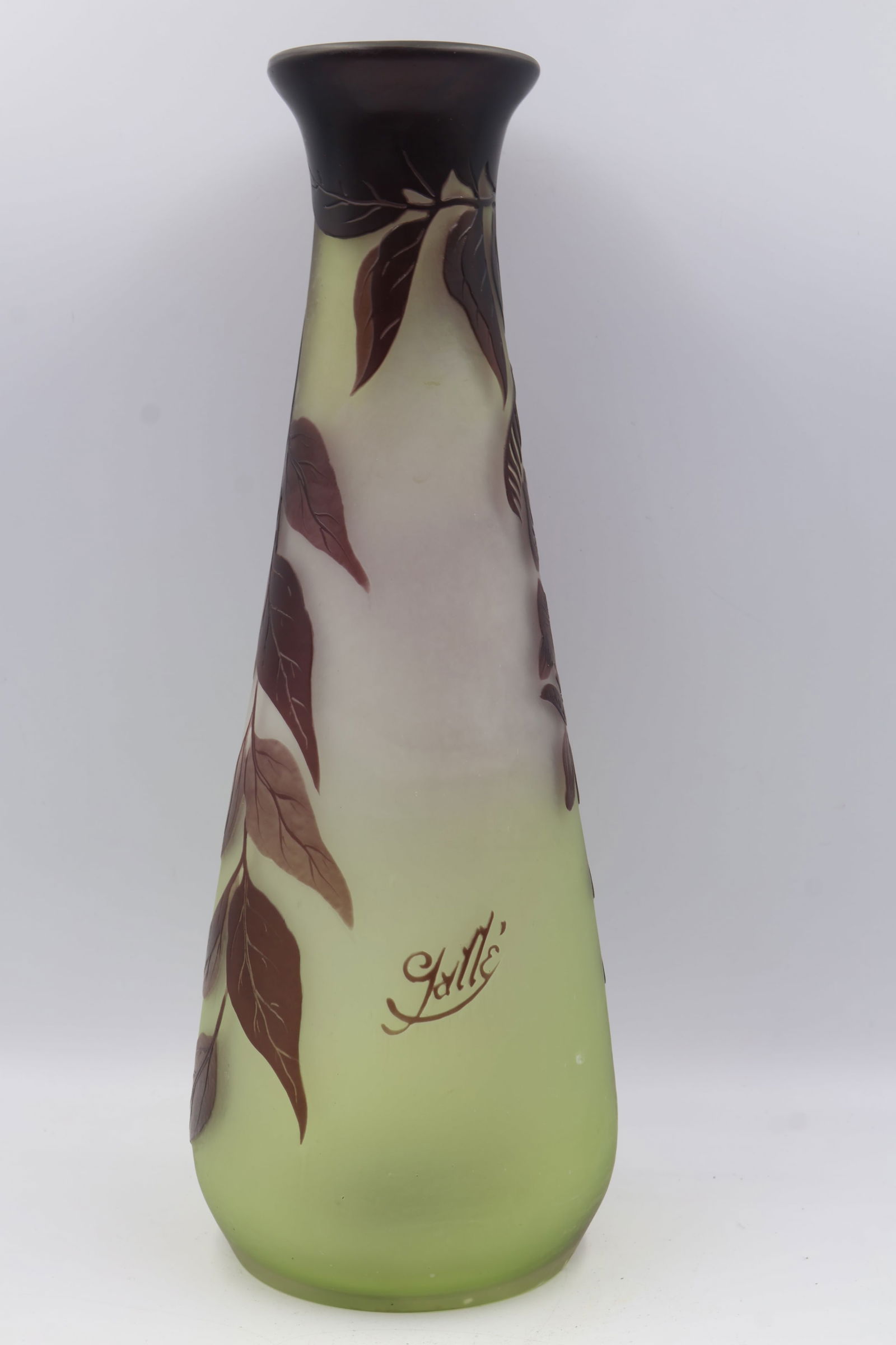 Galle Cameo Glass Wysteria Vase (1 of 6)