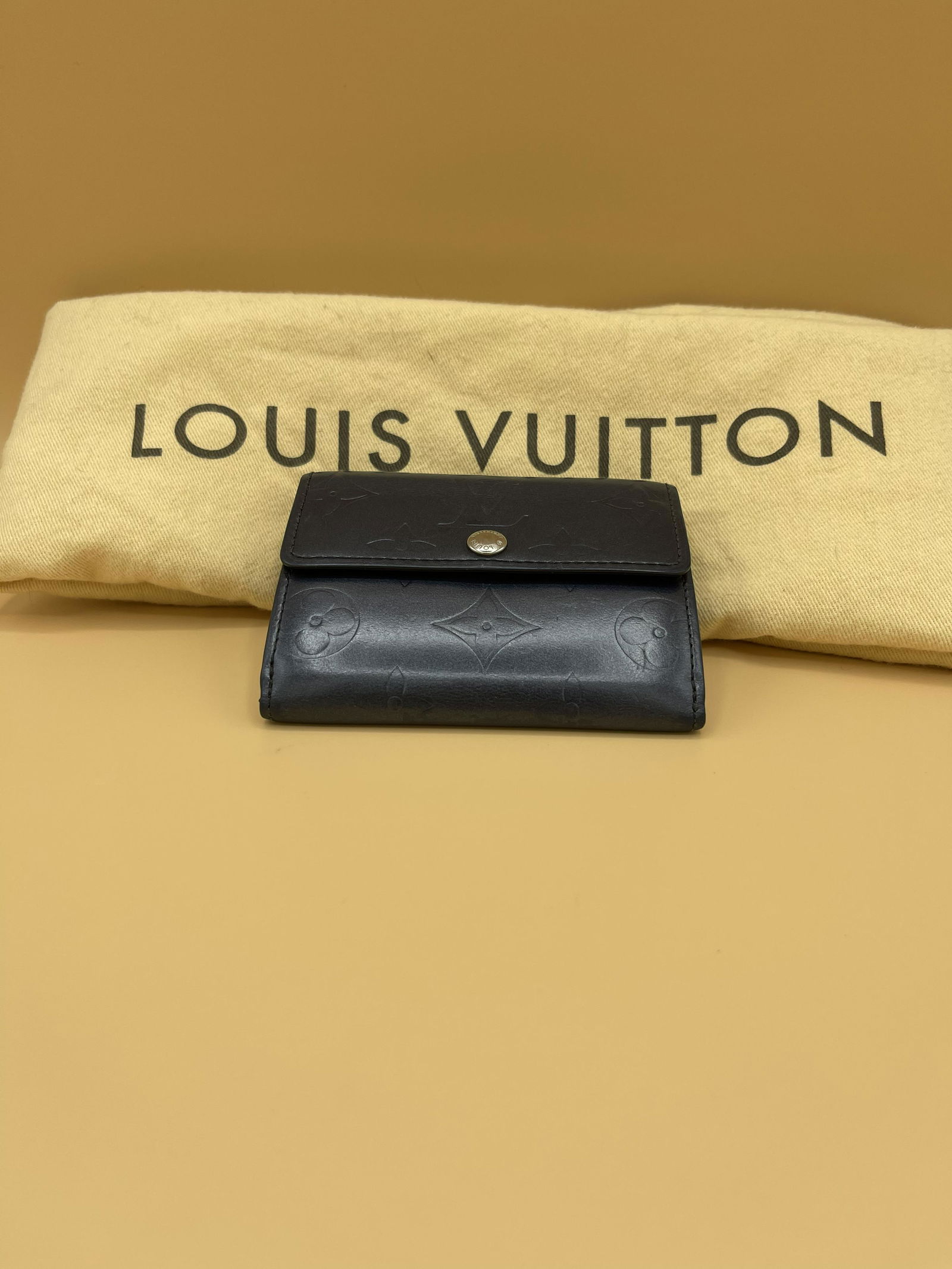 Louis Vuitton Navy Blue Louis Vuitton Epi Noir (1 of 7)