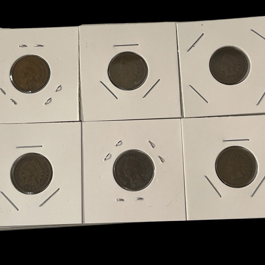 6 Indian Head Pennies from 1901-1906 (1 of 1)