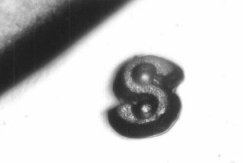 Authentic 1979-S TYPE 2 Susan B Anthony Dollar Gem: This item qualifies for FREE DOMESTIC SHIPPING to customers in the USA Modified Item: No Grade: Gem Proof Country/Region Of Manufacture: United States Year: 1979 Circulated/Uncirculated: Uncirculated