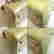 item-113635881=4