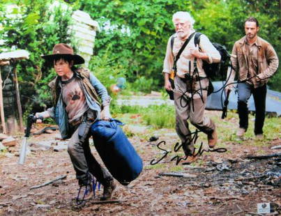 Andrew Lincoln Wilson Riggs Signed Autographed 11X14: Andrew Lincoln Wilson Riggs Signed Autographed 11X14 Photo Walking Dead Object Type: Photograph Industry: Television Original/Reproduction: Original Signed by: Andrew Lincoln Scott Wilson Chandler Rig