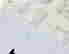 item-121499883=2
