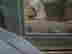 item-121649795=2