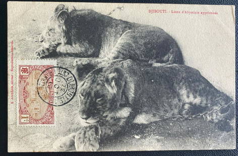 1910 Djibuti French Somali Coast RPPC Postcard cover Abyssinie: 1910 Djibuti French Somali Coast RPPC Postcard cover Abyssinie Type: Cover Place of Origin: France & Colonies Quality: Used Grade: Ungraded Certification: Uncertified Pre-Owned PLEASE NOTE:
