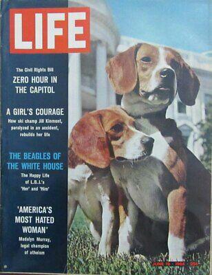 LIFE Magazine June 19, 1964 Presidents Johnsons Beagles, Dogs 164619: LIFE Magazine June 19 1964 Presidents Johnsons Beagles Dogs 164619 Publication Name: Not Available PLEASE NOTE: Framed Large or heavy Items do not have shipping costs included. The exact shipping cost