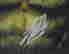item-128240050=2