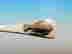 item-128459675=4