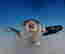 item-128462492=3