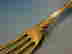 item-128469502=3