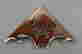 item-128469517=2