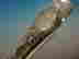 item-128470005=3