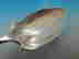 item-130549916=2