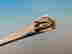 item-130549916=3