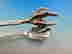item-130627041=2
