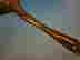 item-130627138=6
