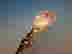 item-130628027=7