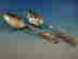 item-130628027=8