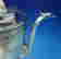 item-130628737=7