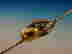 item-131511659=2