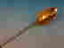 item-131511659=3
