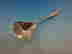 item-133072260=5