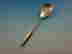 item-133072260=7