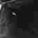item-133323227=8